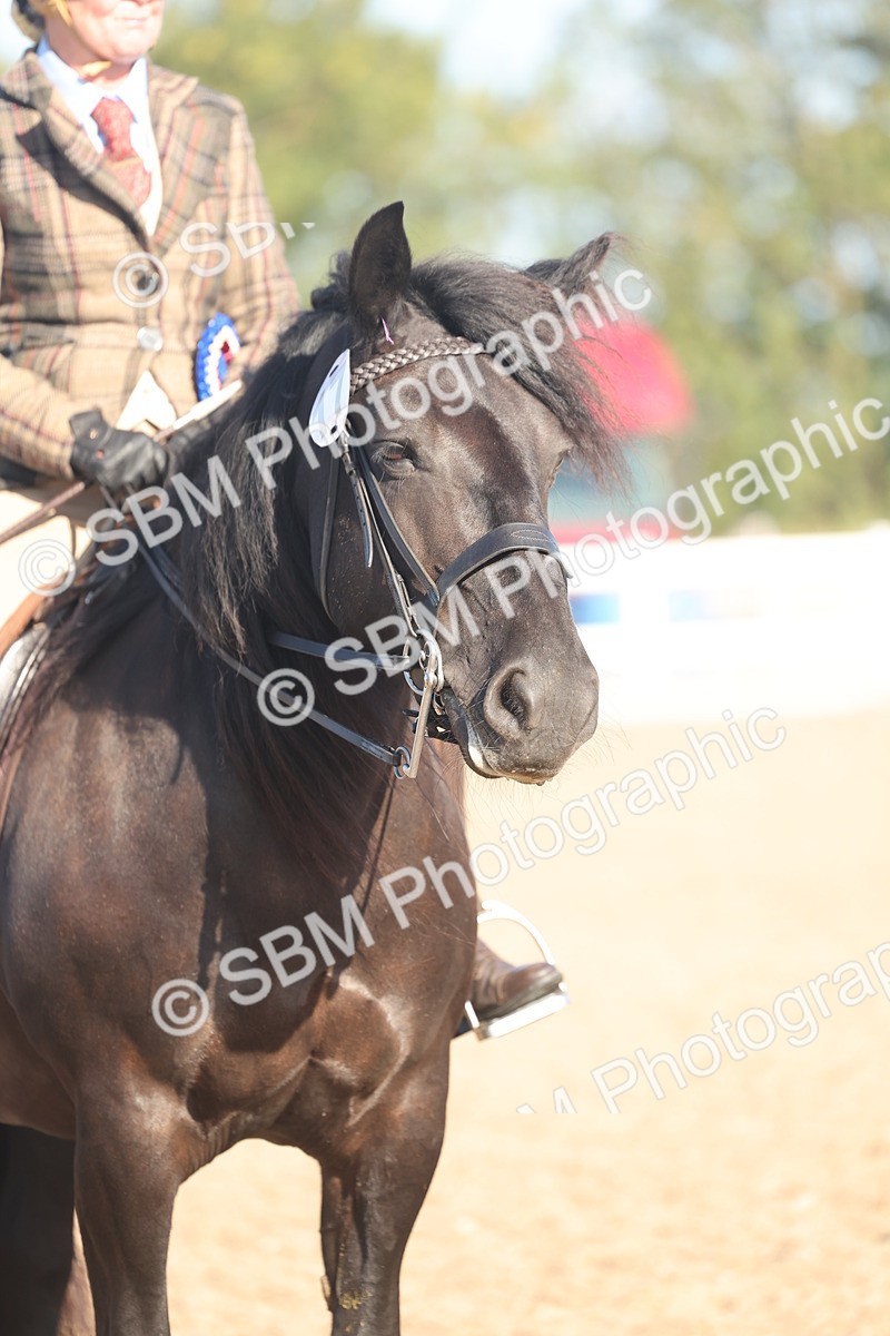 SBM_22141 - Class 801 - Ridden Veterans