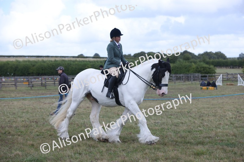 20250831-4234 - Class 20 - Ridden Coloured