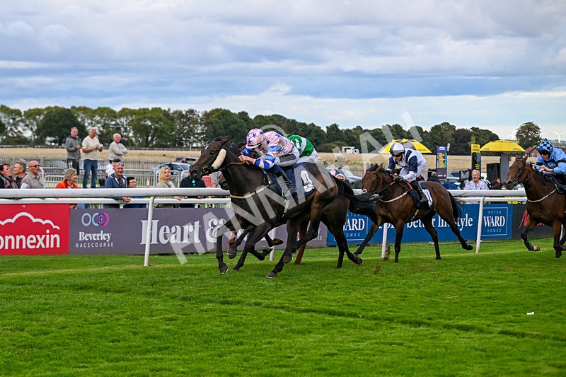 160926-Race 7-Star Suepreme-1866 - Race 7 5.20pm Hurn Handicap (Div I)