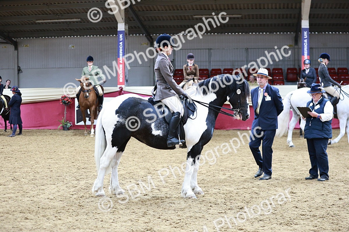 SBM_03644 - Class 6A Area Ridden Pre-Vet
