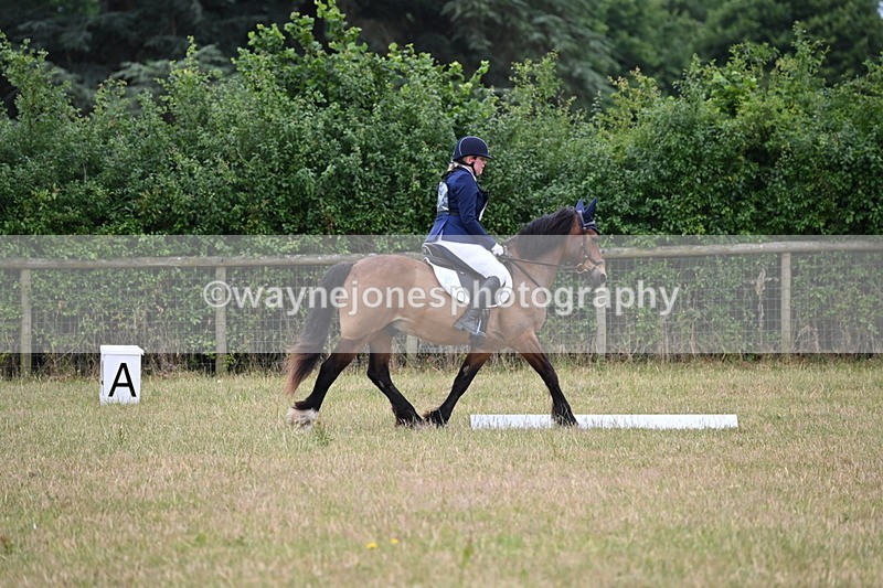 WJ6_9523 - Time 10:00 to 10:11