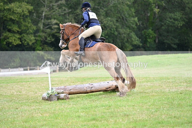 WJ7_7719 - 40cm Time 10:49 to 11:18