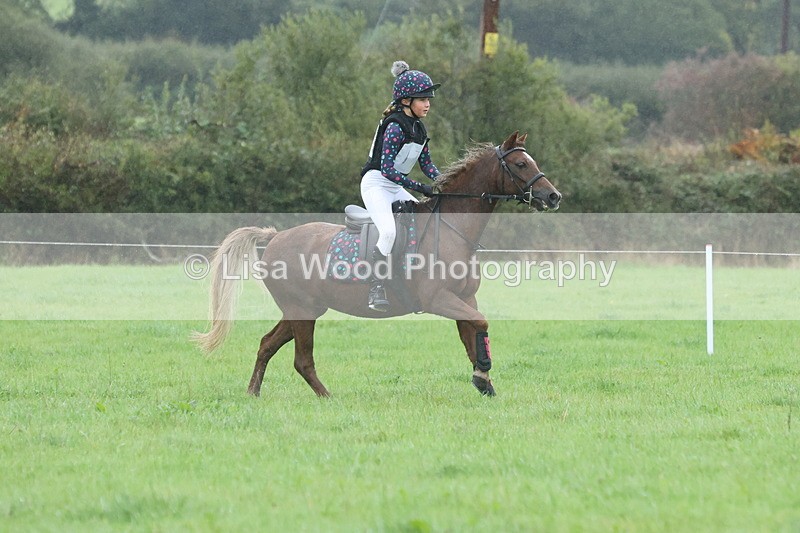 JPP_5147 - Class 1: 65cm : Showjumping