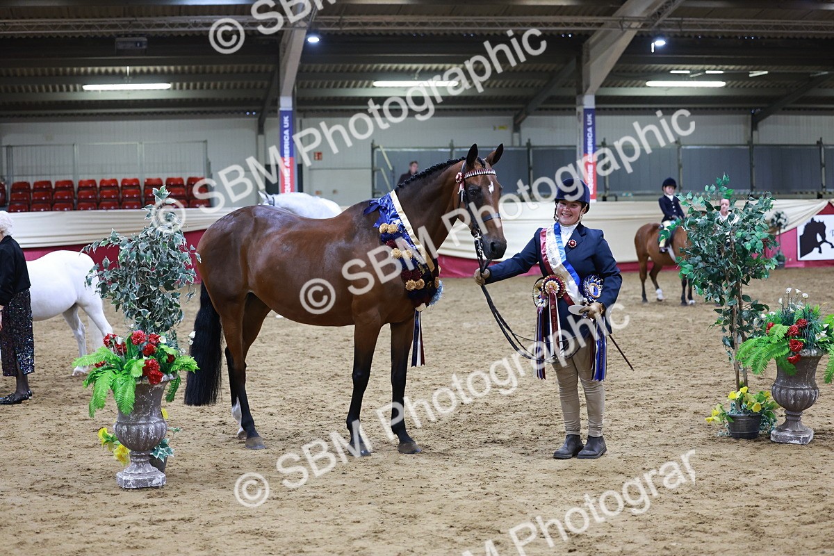 SBM_20358 - Class E - Best Turned Out Champ