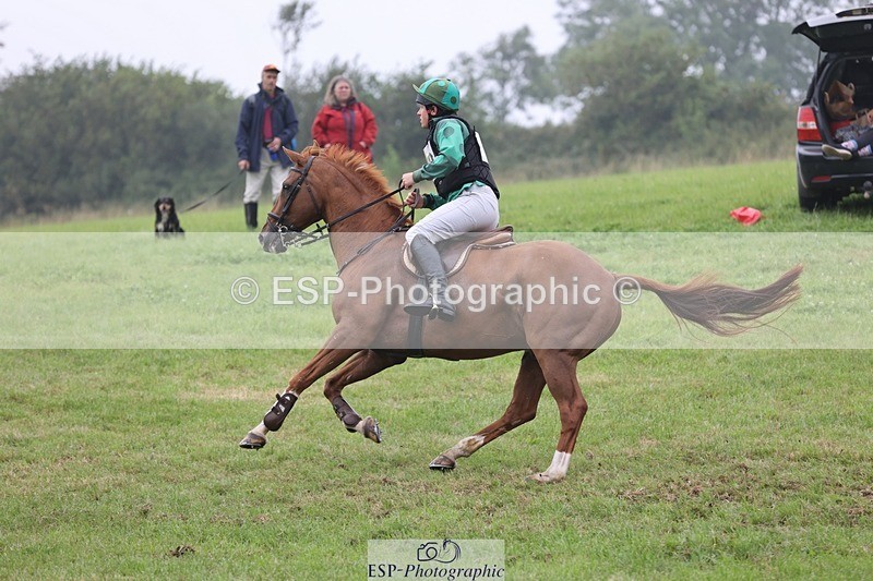 240901A-121211-07351 - 460-Harry.Rowcliffe-22.CARROT.GOLD