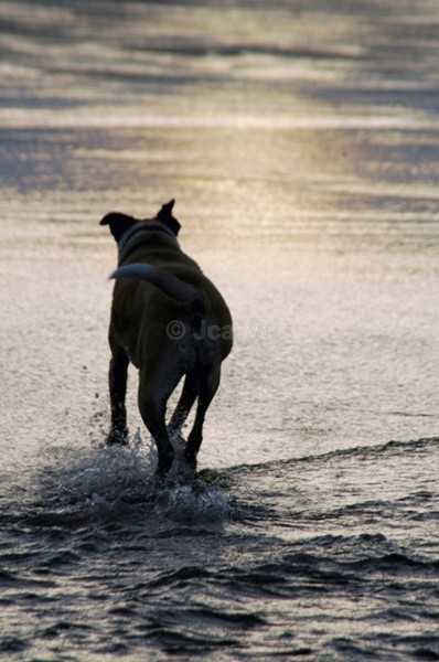 Sea u later - Lara Rara