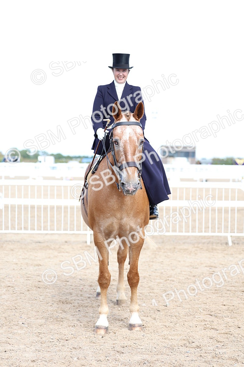 SBM_03237 - Class 22 - SSA Equitation (any age)