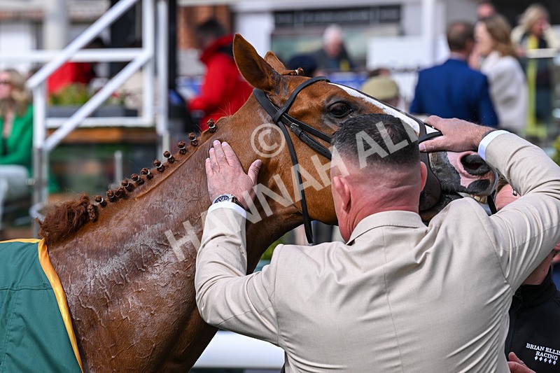 150526-Race 6-Fortification-8580 - Race 6 4.40pm Irish Thoroughbred Marketing Handicap