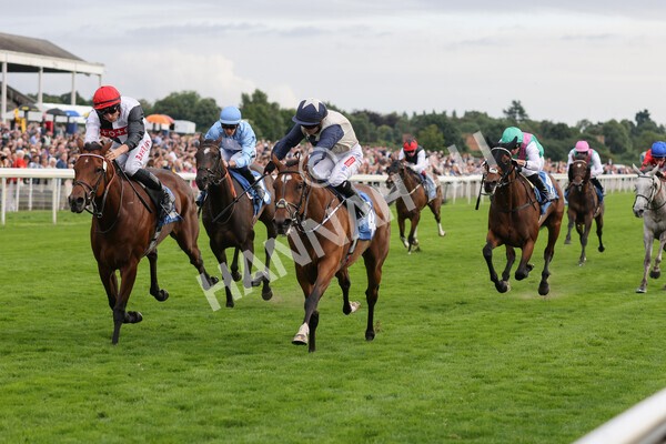 yr19082021r6-14 - Race 6 4.45pm British EBF & Sir Henry Cecil Galtres Stakes