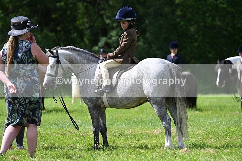WJ7_1498 - Class 11 Condition & Turnout