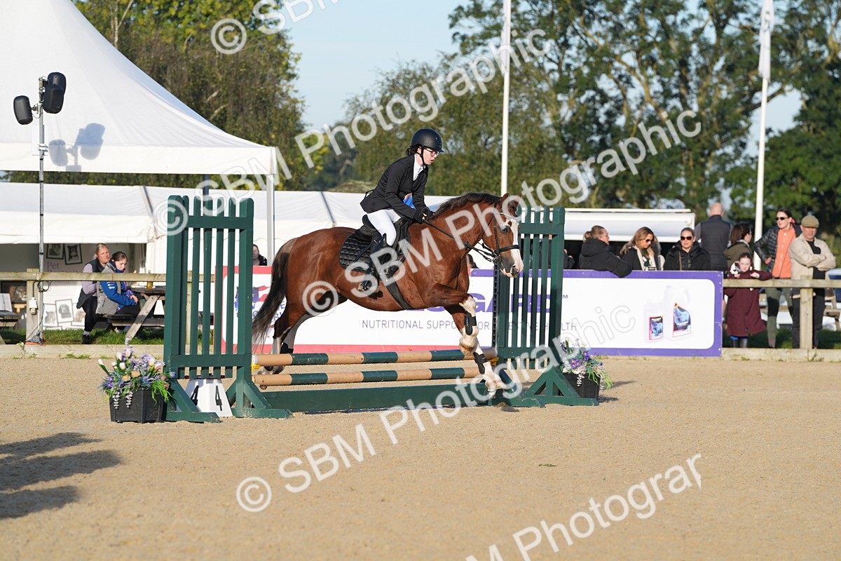 SBM_34289 - J62 - Clear Round 50cm