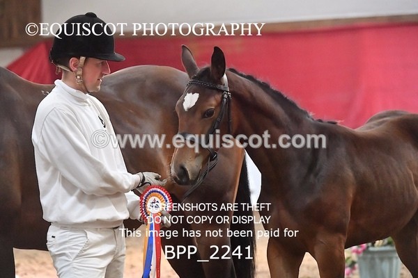 BPP_2241 - AFTERNOON 12.30 - 3.30PM