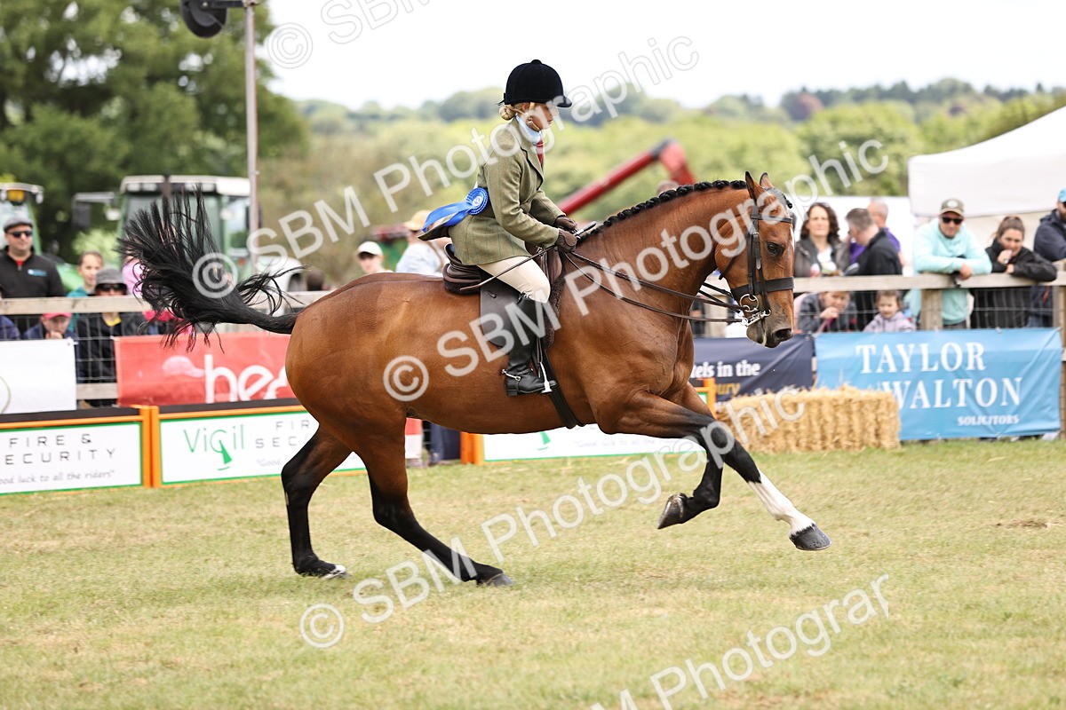 SBM_14813 - Class 88-89 - LIHS BSHA Rising Star of Ridden Hunter Type
