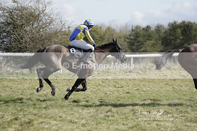 PtP 260223 321 - South & West Wilts Point-to-Point Larkhill 26/02/23