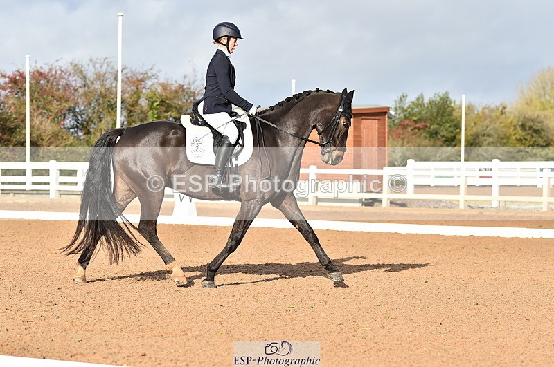 231104A-111200-01484 - Cls 5 Novice 37A