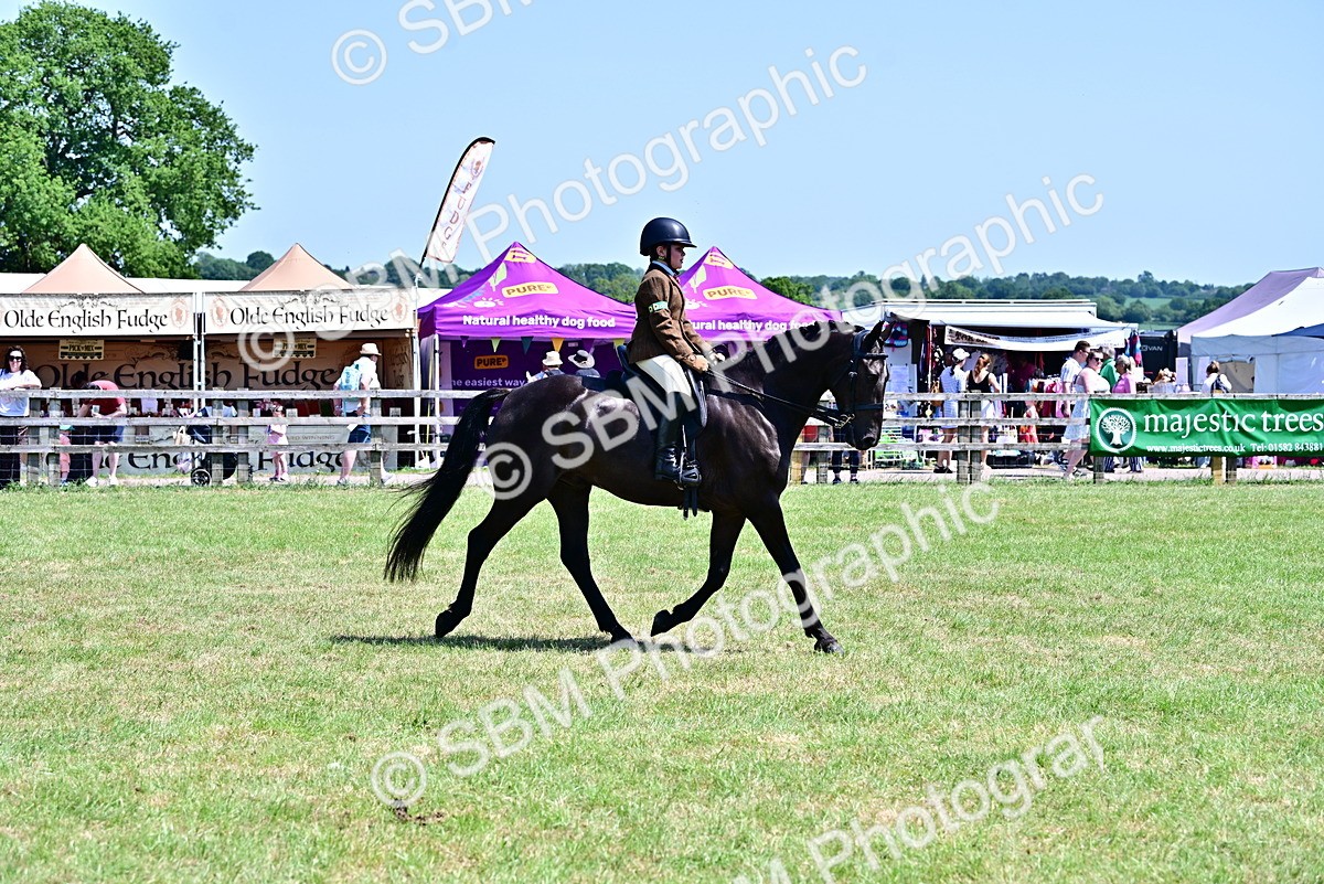 SBM_15390 - Class 95-97 - BSPS LHS Performance Ponies