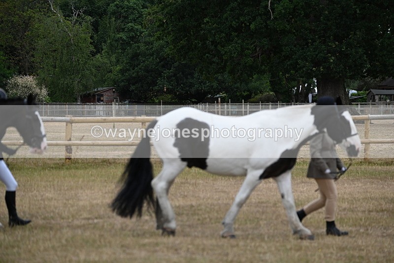 WJ6_7840 - Class 10 Coloured in Hand