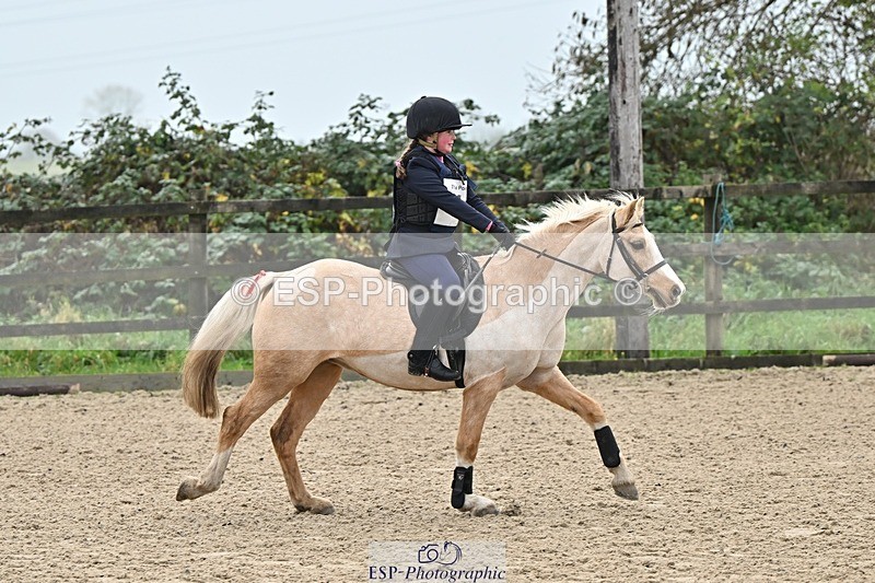 241110-100136-00164 - 40cm Showjumping