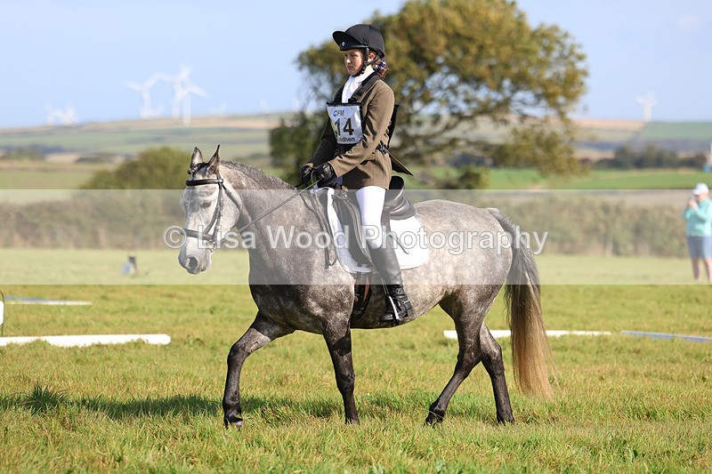 3E7A5722 - Class 1: Trebudannon Open: Dressage (Part 2)