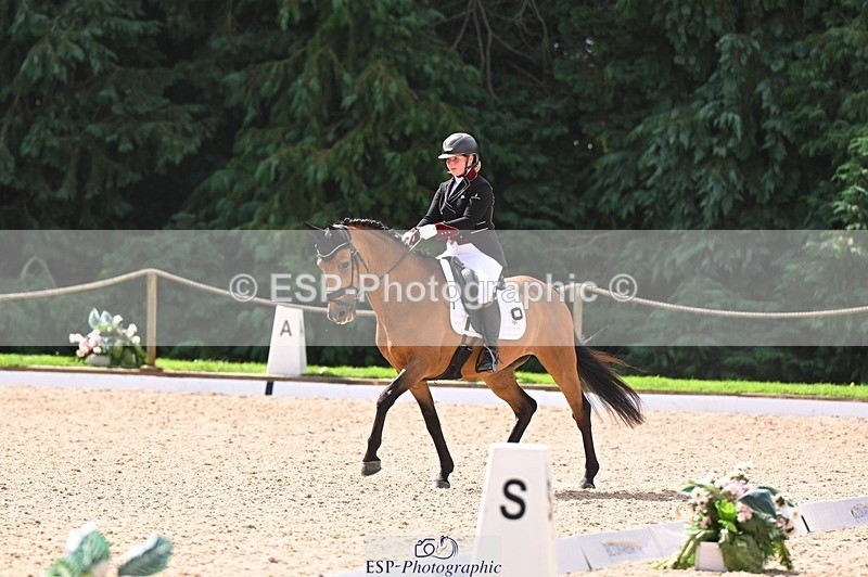 240809-104410-00369 - 173-Daisy.Winkle-Decandro.Hit.LDS