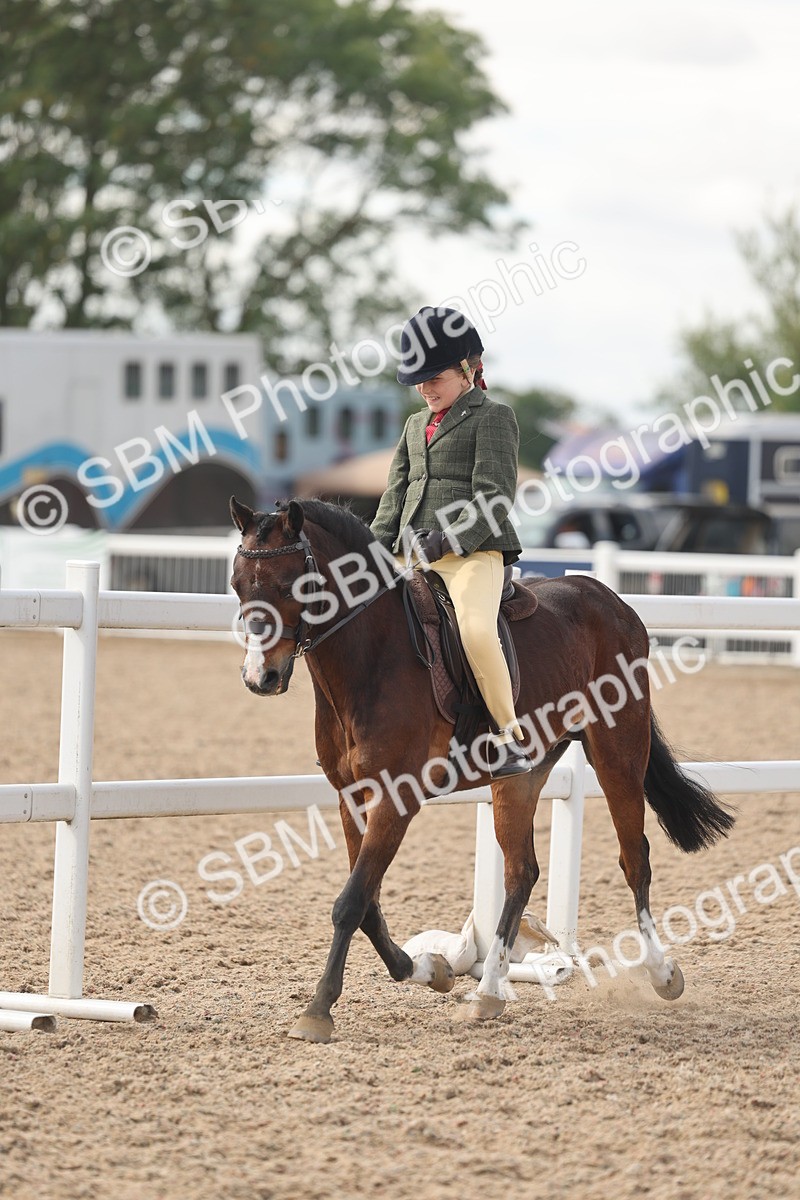SBM_15886 - Class 310 - First Ridden Pony