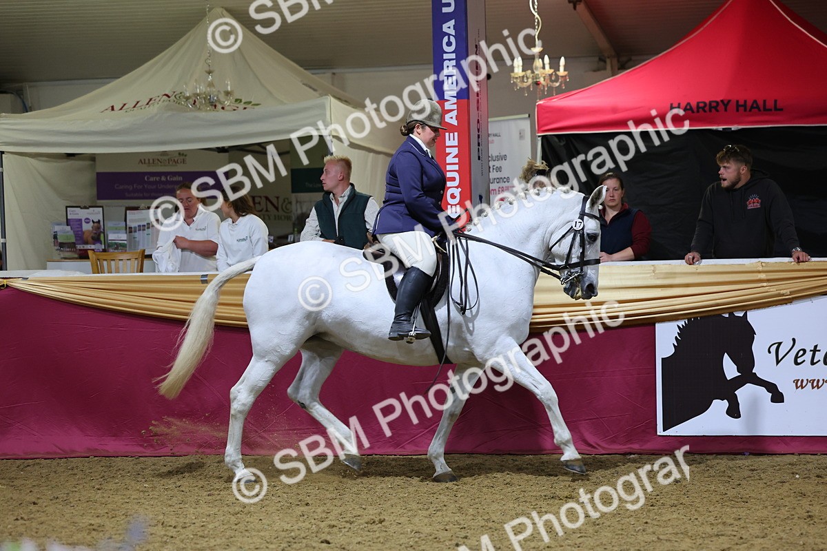 0B8A4488 - Class O Ridden Show Horse Champ