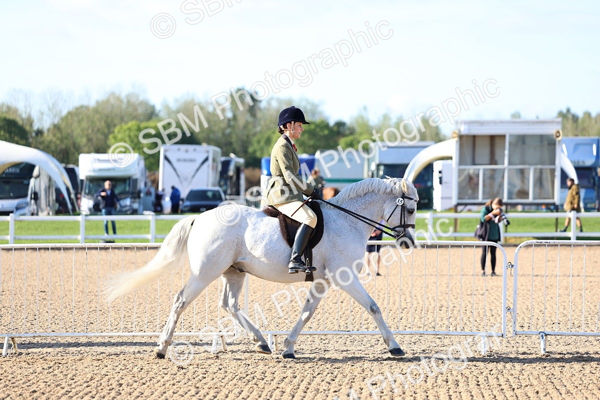 SBM_08783 - Class 302 - Ridden M&M - Large Breeds