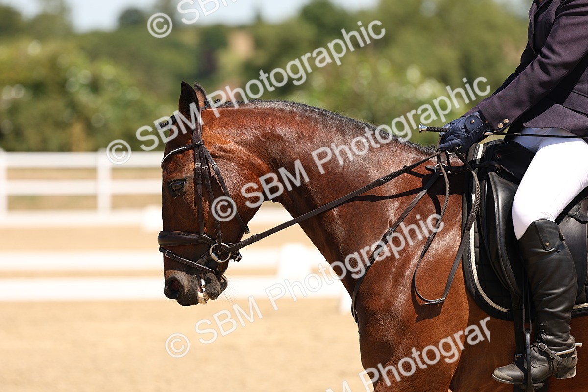 SBM_002155 - Elementary 4 Warm Up
