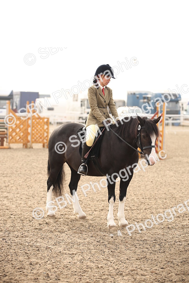 SBM_09757 - Class 401 Riding Club Pony