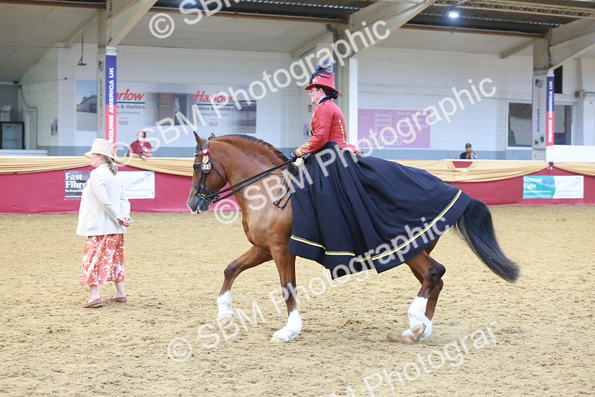 SBM_14791 - Class 108 - Ridden Costume - Astride Adult (20+)