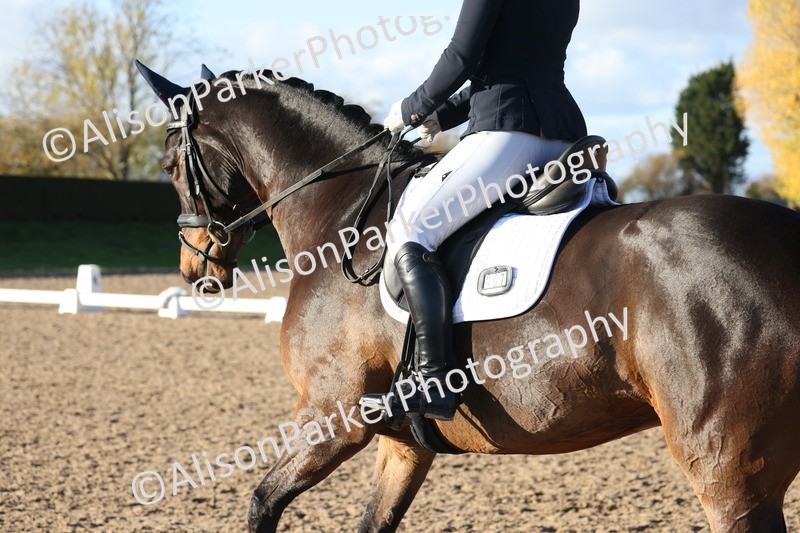 20251102-1220 - Class 7 - Medium 5