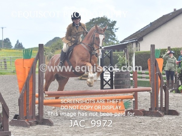 JAC_9972 - CLASS 3 Intermediate Working Hunter (0.70m - 0.85m)