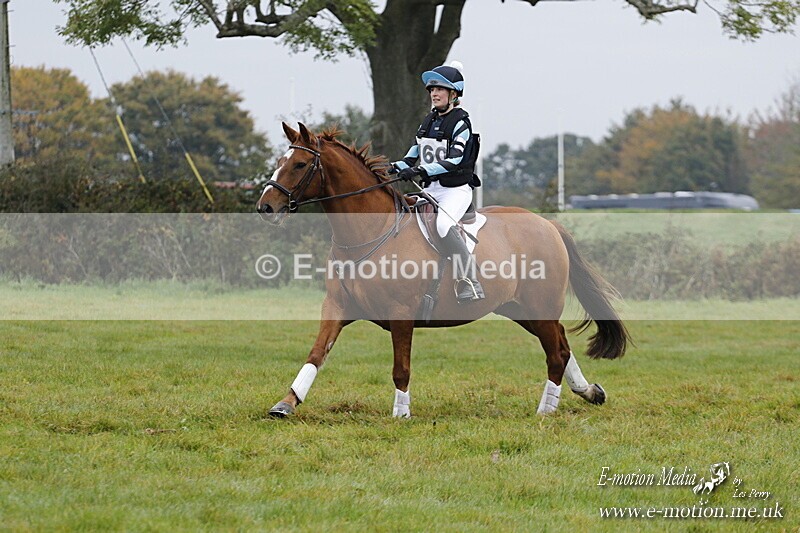 WWHT 181020 WWHT 181020 395 - WWEC Open Novice (0.80m) 18/10/20