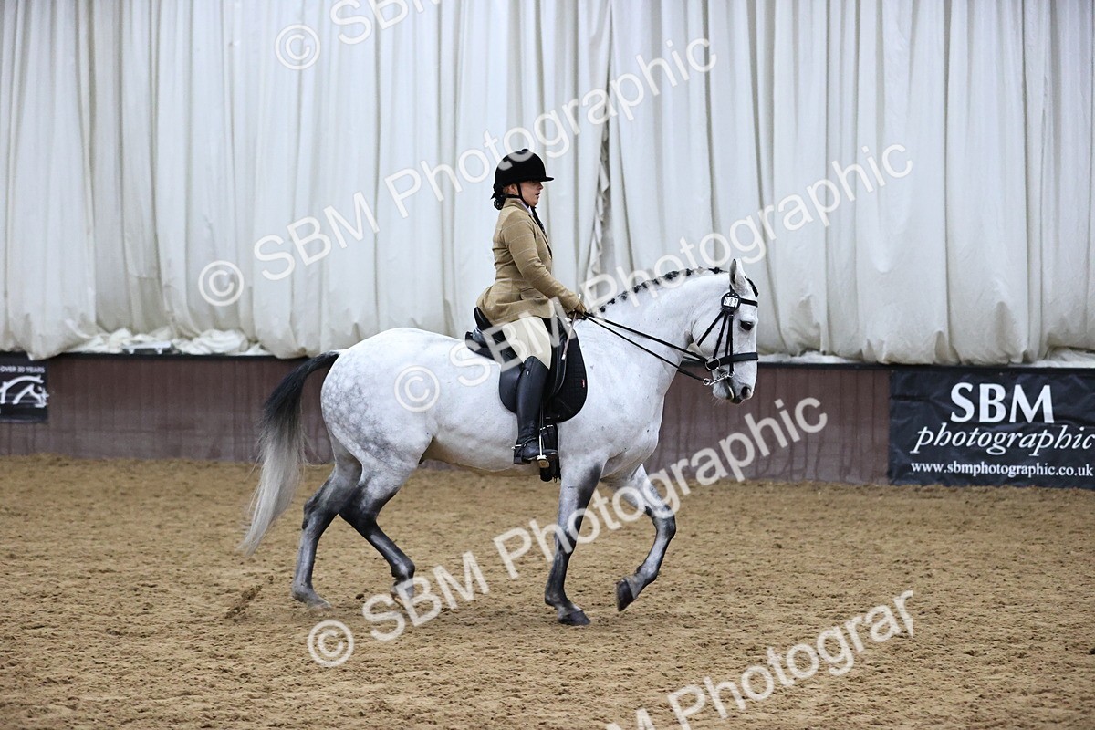 SBM_6344 - Class 45-42 - Ridden Irish Breeds-Ridden Cob