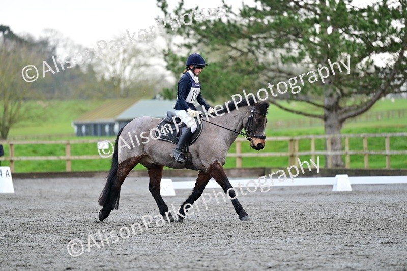 20260125-3615 - Class 12 - Novice