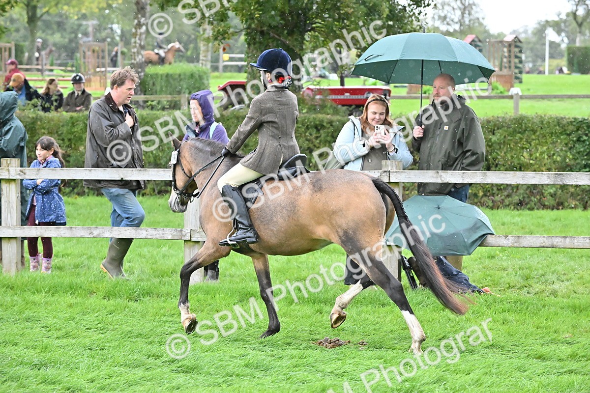 SBM_42938 - S12 - Family Horse & Pony