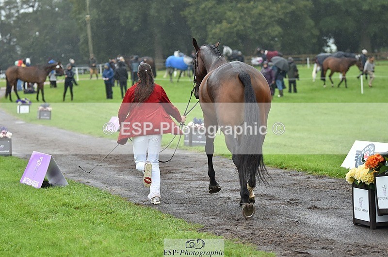 231018-121416-00157 - 023-THE.REAL.MCKAY-Jess.Rimmer-TrotUp