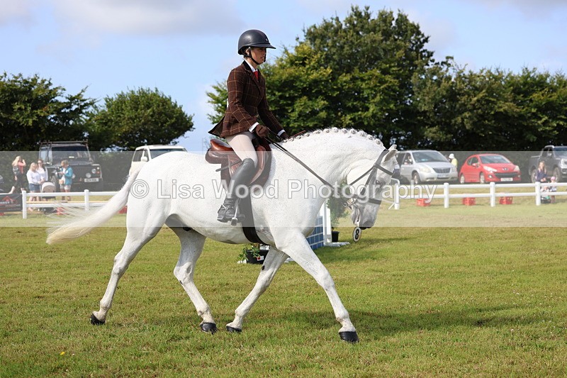 3E7A8929 - Class 3: Rising Star S/L Hunter