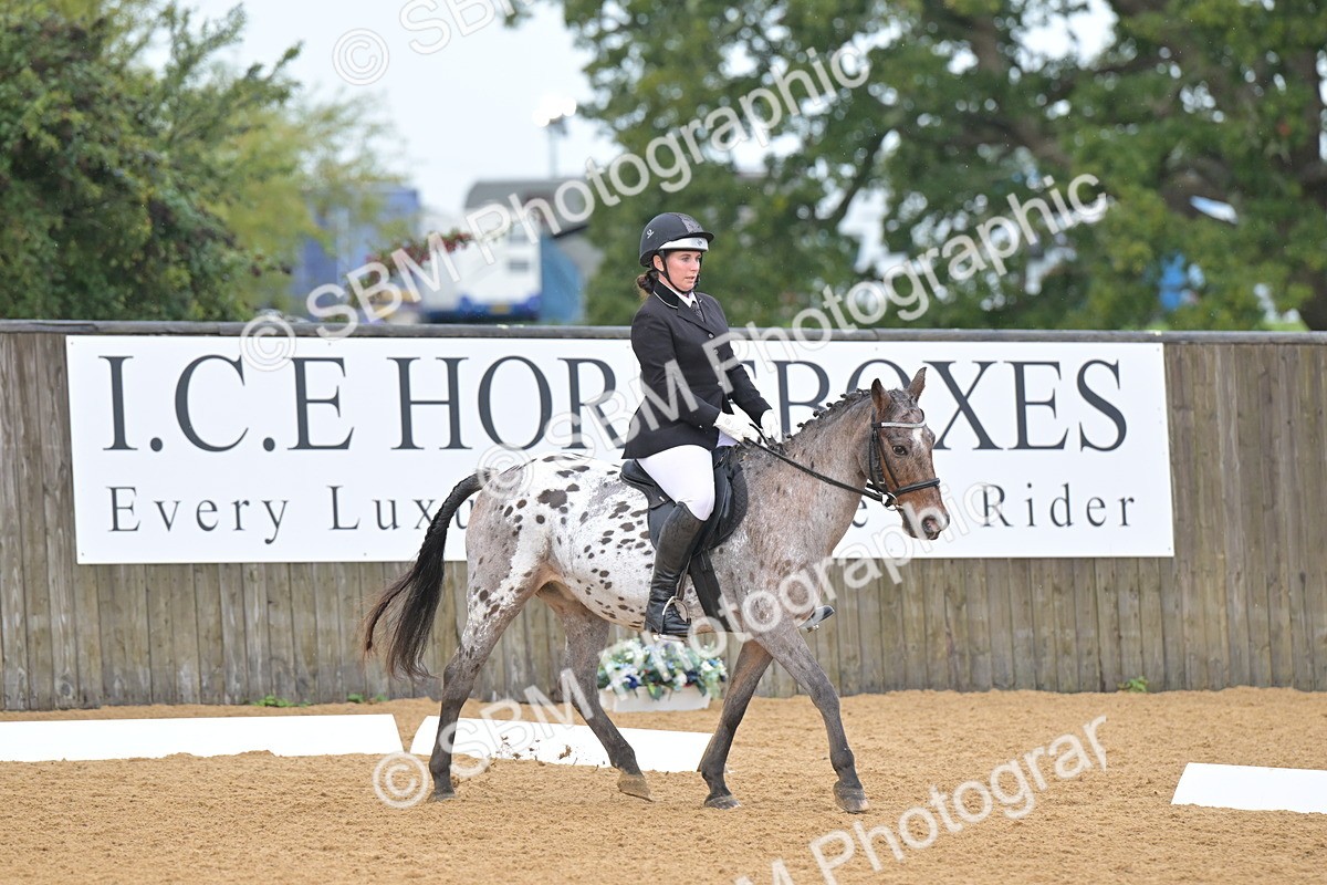 SBM_00498 - D2 - Small Tour Championship Intro 2