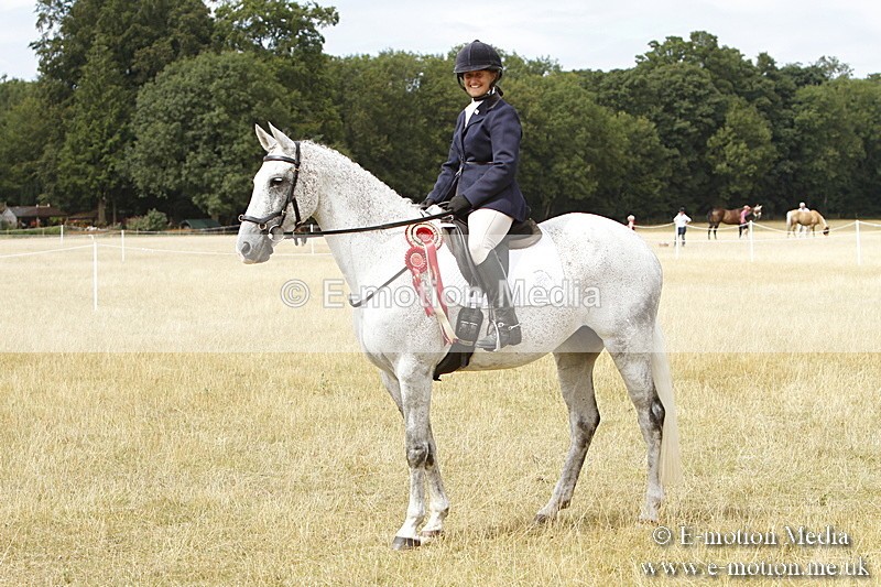 _BS_1025 - Working Hunter Championship BVRC Show 2018