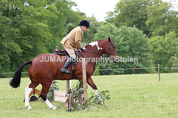 IMG_2807 - Working Hunter
