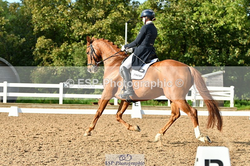 230912A-172847-02040 - Cls 23 FEI Grand Prix