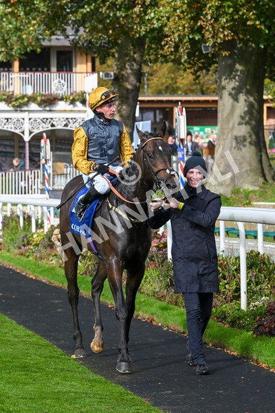 121024-Race 1-Jungle Drums-2633 - Race 1 1.30pm Coral Rockingham Stakes