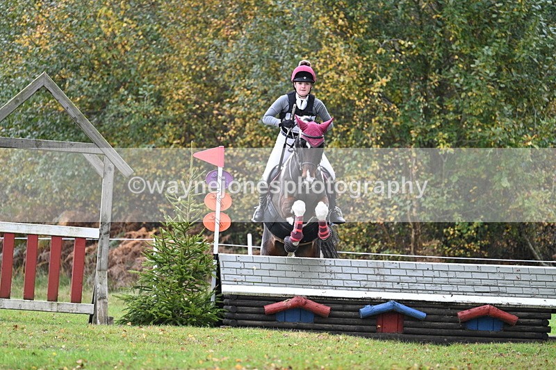 WJ7_1849 - 80cm Cam 2 Water Time 11:47 to 12:17