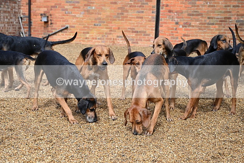 WJ7_7005 - Berks & Bucks at Blandy’s Farm 31-08-25