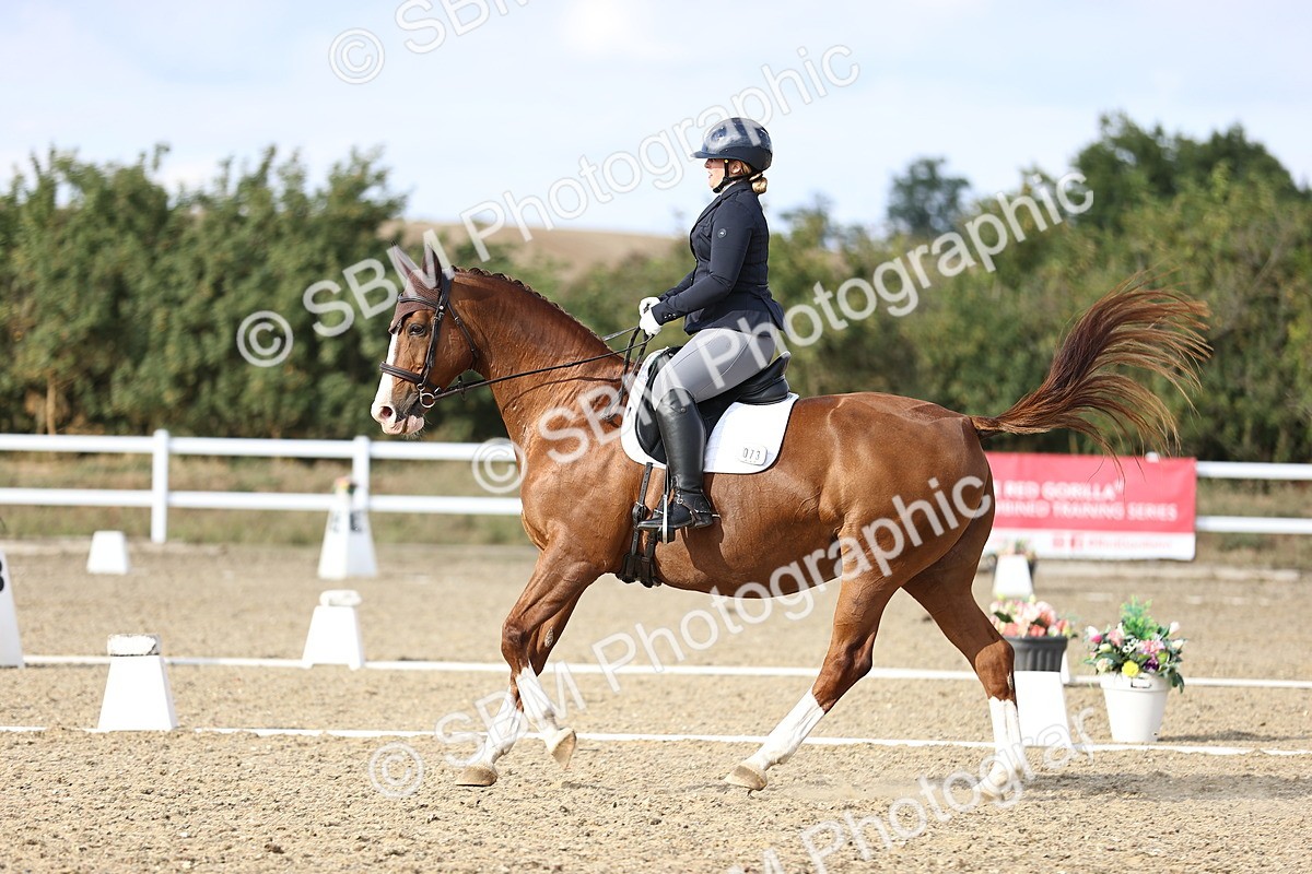 SBM_016050 - Class 5 - E5 Bronze  16.18.17.22