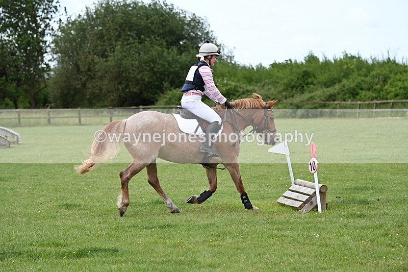 WJ6_2462 - Class 2 40cm