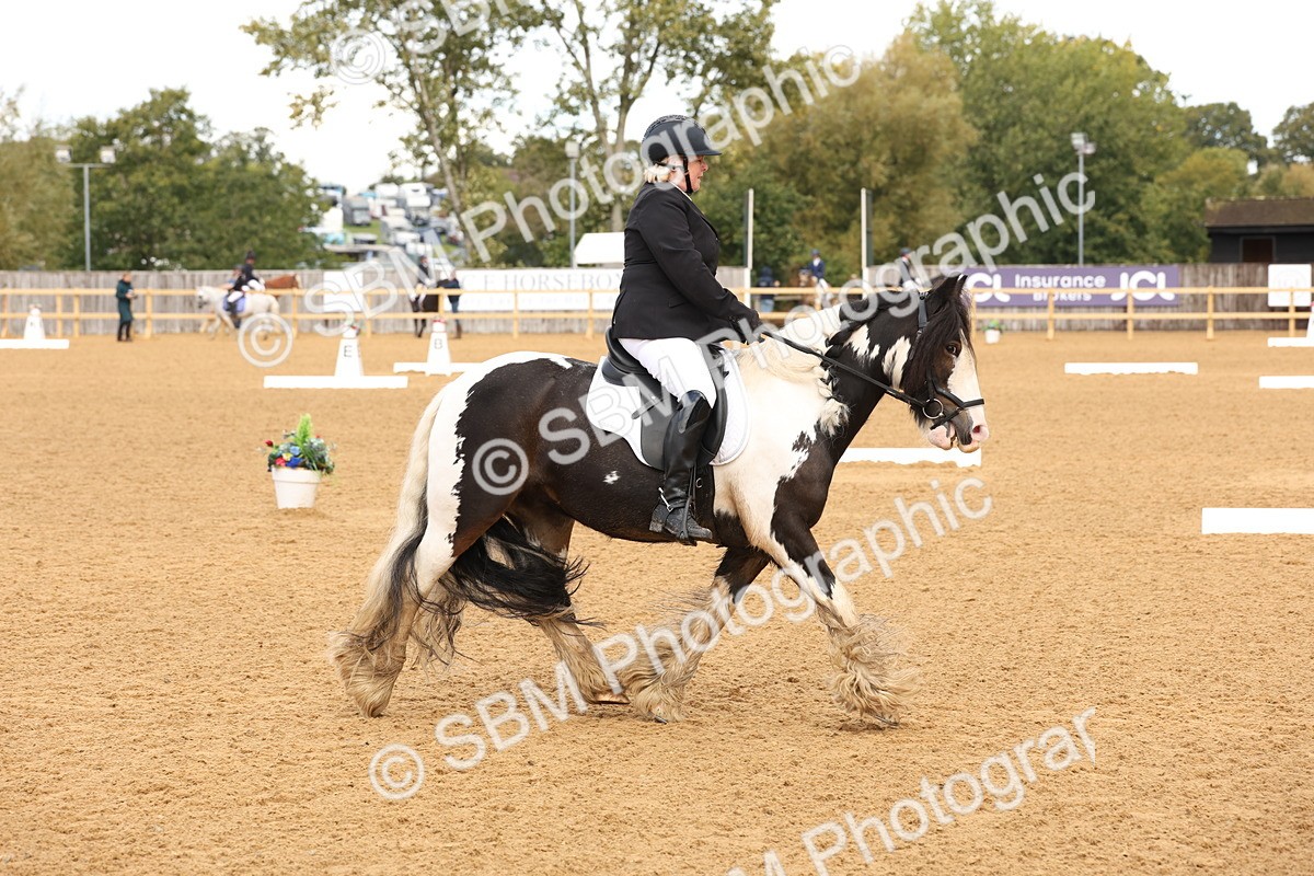 SBM_40685 - D6 - Small Tour Championship Intro 4