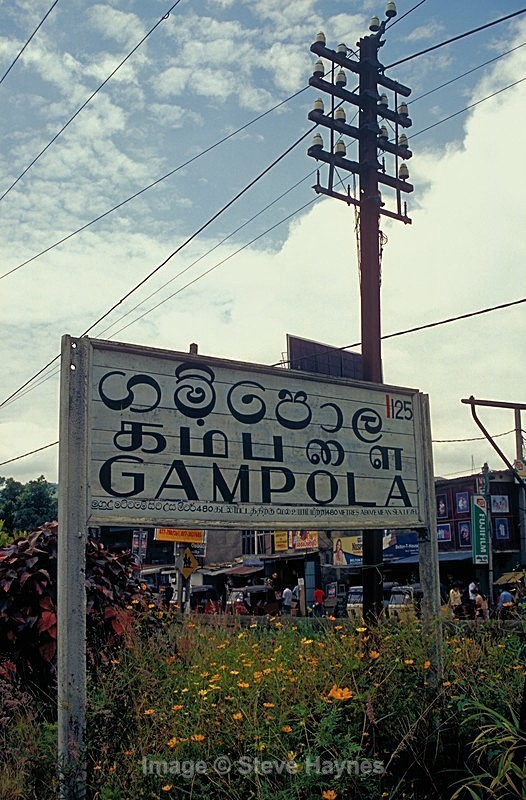 24th Aug 2007 - Gampola