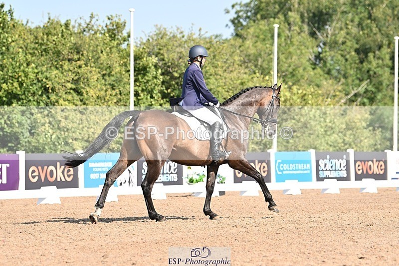 250816-100109-03027 - 096-Louisa.ChattingFirst.Mohican.II